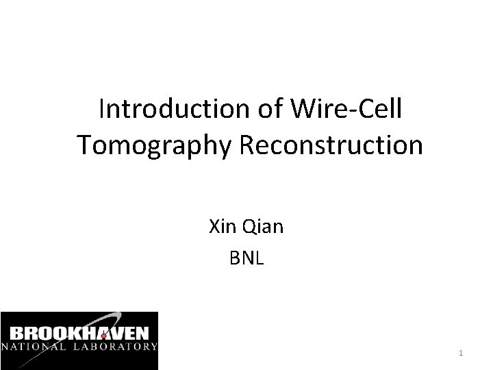 Introduction of Wire-Cell Tomography Reconstruction Xin Qian BNL 1 