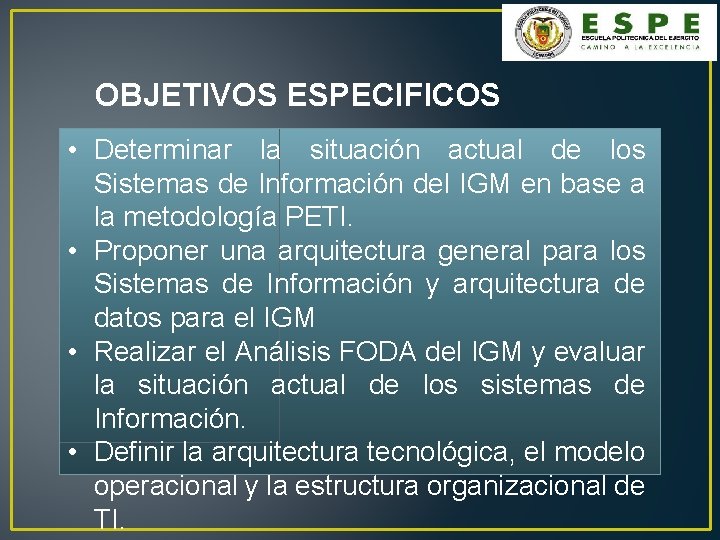 OBJETIVOS ESPECIFICOS • Determinar la situación actual de los Sistemas de Información del IGM