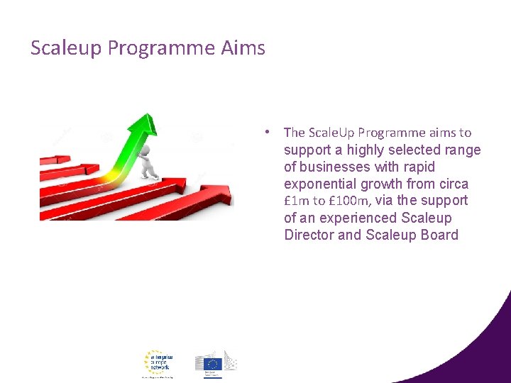 Scaleup Programme Aims • The Scale. Up Programme aims to support a highly selected