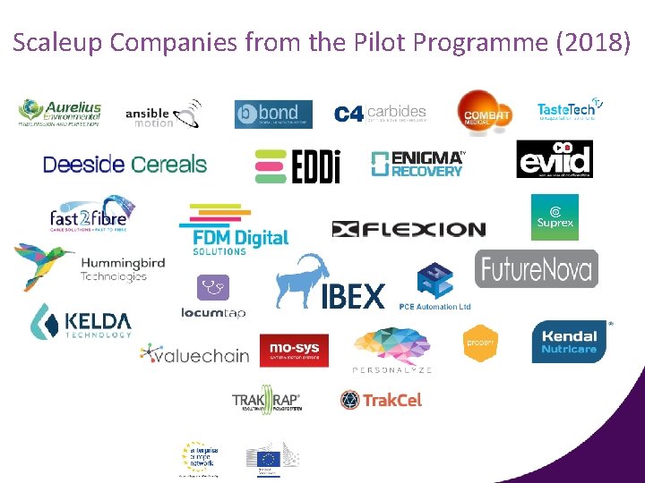 Scaleup Companies from the Pilot Programme (2018) 