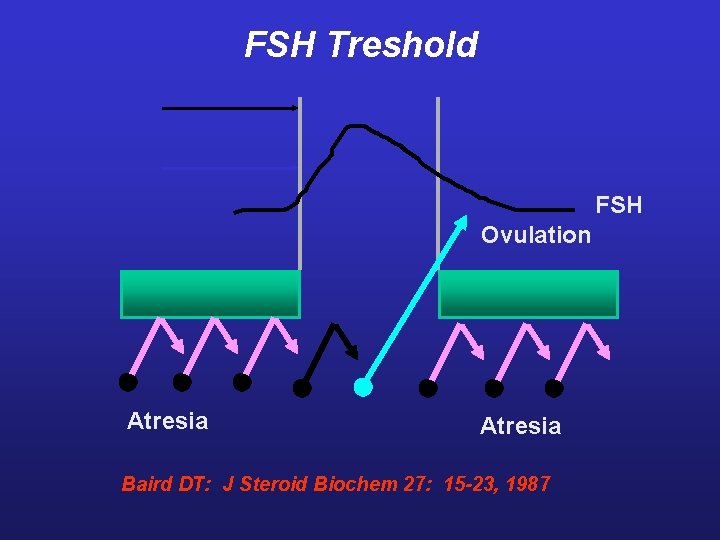 FSH Treshold FSH Ovulation Atresia Baird DT: J Steroid Biochem 27: 15 -23, 1987 FSH Treshold FSH Ovulation Atresia Baird DT: J Steroid Biochem 27: 15 -23, 1987