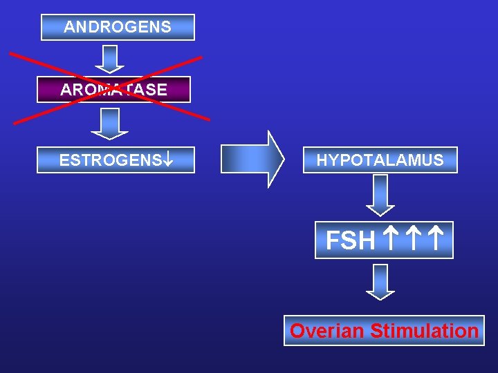 ANDROGENS AROMATASE ESTROGENS HYPOTALAMUS FSH Overian Stimulation ANDROGENS AROMATASE ESTROGENS HYPOTALAMUS FSH Overian Stimulation