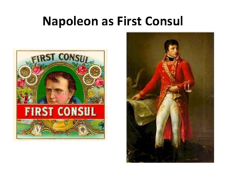 Napoleon as First Consul 