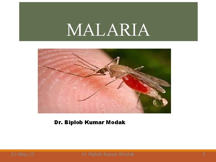 MALARIA Dr. Biplob Kumar Modak 19 -May-21 Dr Biplob Kumar Modak 1 