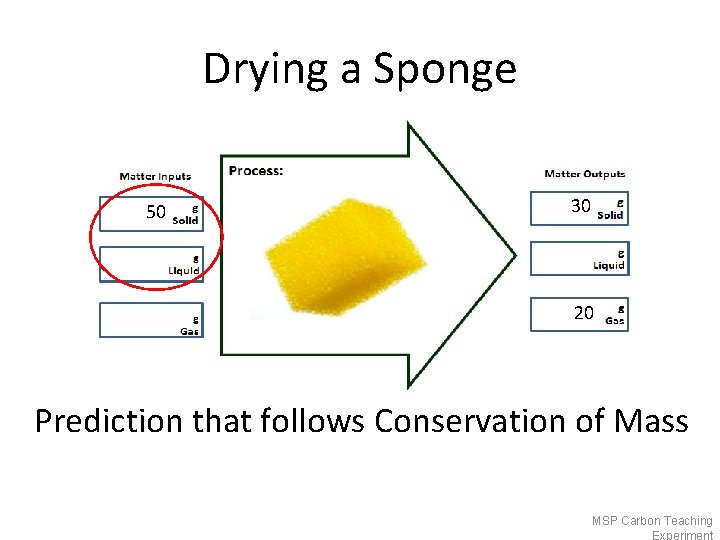 Drying a Sponge 50 30 20 Prediction that follows Conservation of Mass MSP Carbon