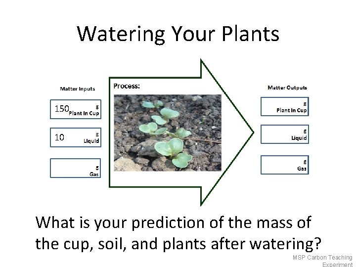 Watering Your Plants 150 10 What is your prediction of the mass of the
