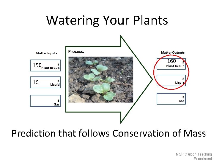 Watering Your Plants 150 160 10 Prediction that follows Conservation of Mass MSP Carbon
