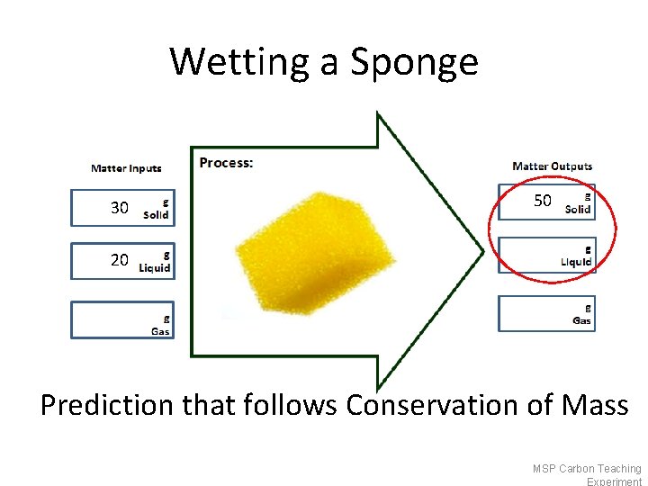 Wetting a Sponge 30 50 20 Prediction that follows Conservation of Mass MSP Carbon