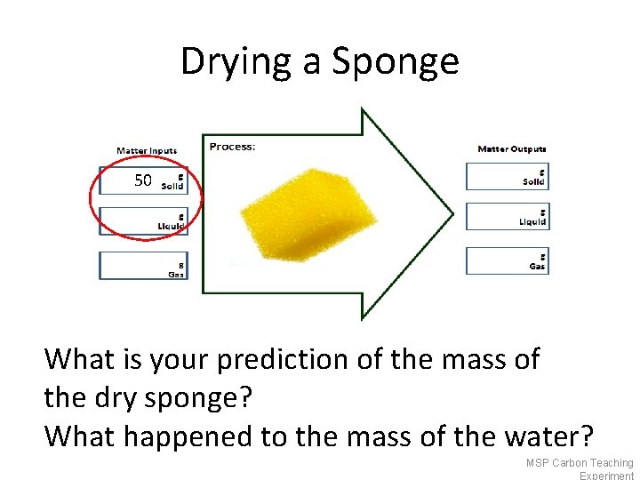 Drying a Sponge 50 What is your prediction of the mass of the dry