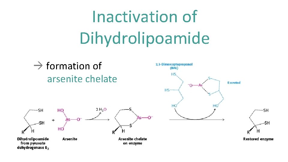 Inactivation of Dihydrolipoamide formation of arsenite chelate 