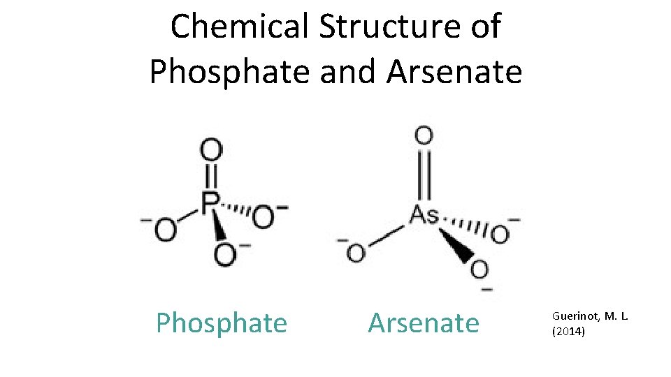 Chemical Structure of Phosphate and Arsenate Phosphate Arsenate Guerinot, M. L. (2014) 