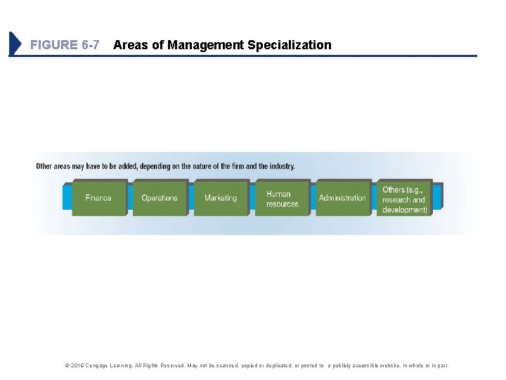 FIGURE 6 -7 Areas of Management Specialization © 2019 Cengage Learning. All Rights Reserved.