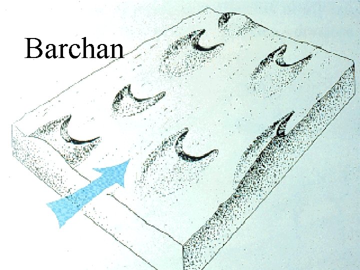 Barchan 