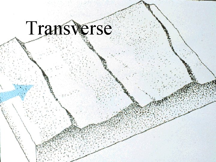 Transverse 