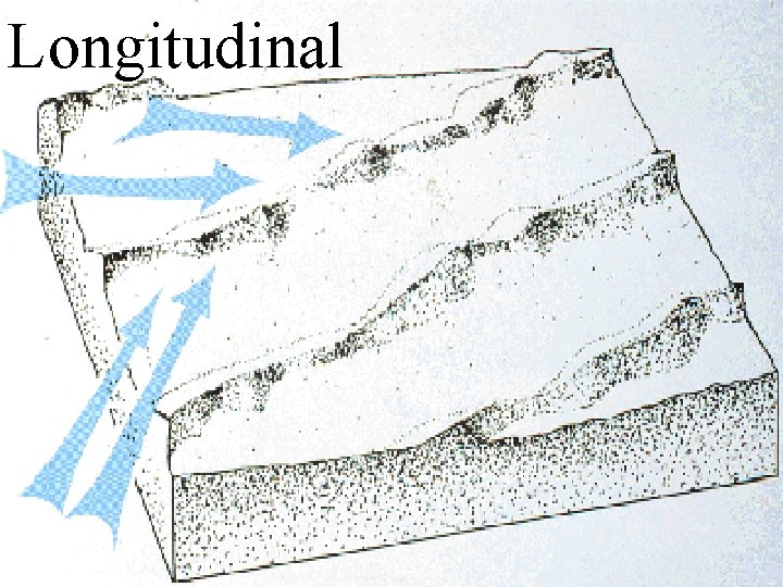 Longitudinal 