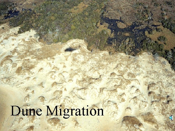 Dune Migration 