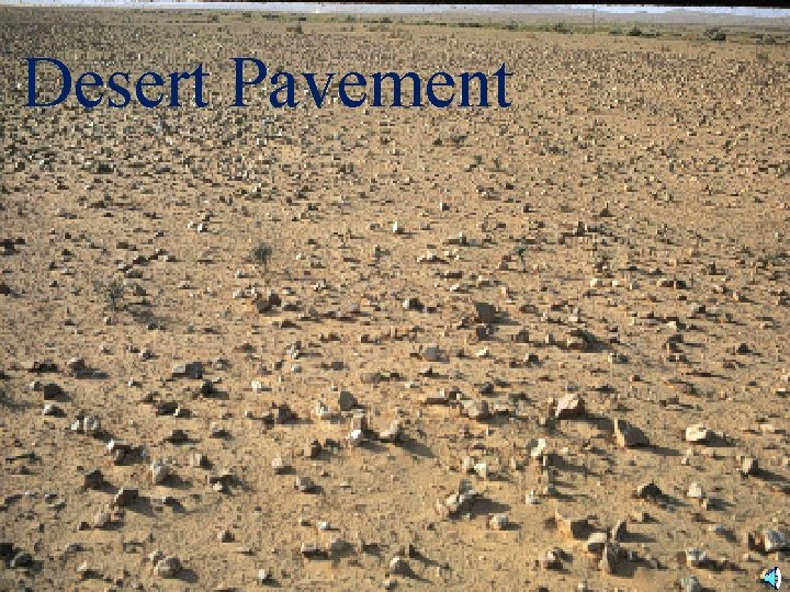 Desert Pavement 