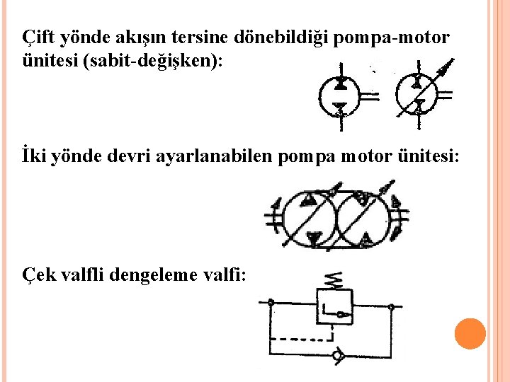 Çift yönde akışın tersine dönebildiği pompa-motor ünitesi (sabit-değişken): İki yönde devri ayarlanabilen pompa motor