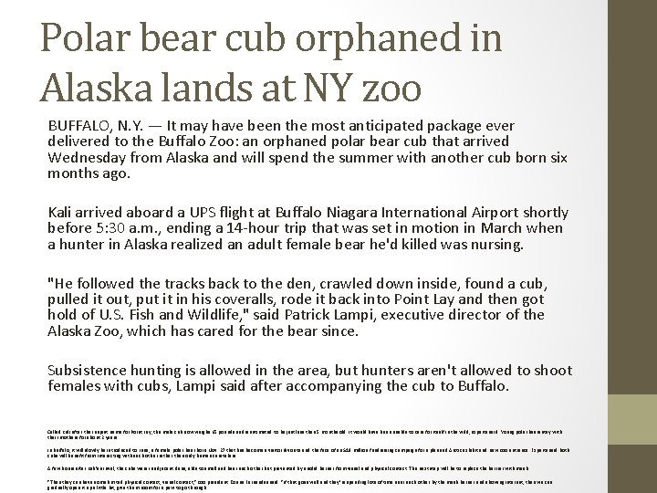 Polar bear cub orphaned in Alaska lands at NY zoo BUFFALO, N. Y. —
