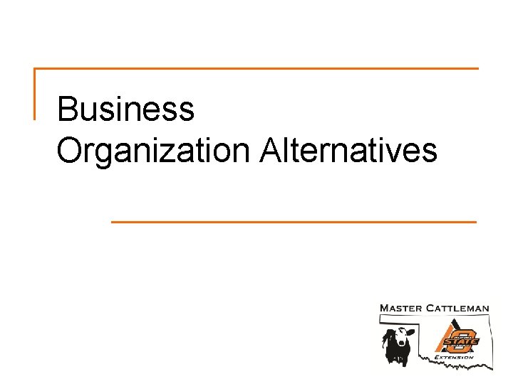 Business Organization Alternatives 