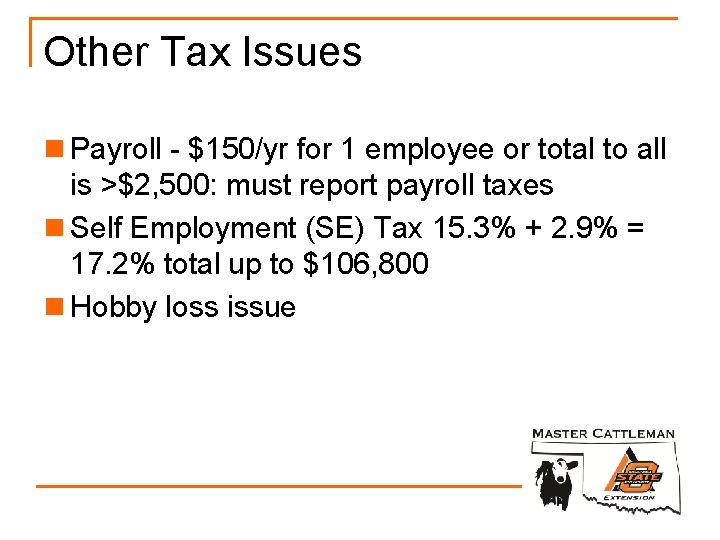 Other Tax Issues n Payroll - $150/yr for 1 employee or total to all