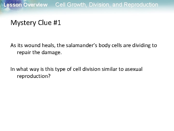 Lesson Overview Cell Growth, Division, and Reproduction Mystery Clue #1 As its wound heals,