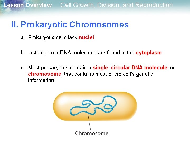 Lesson Overview Cell Growth, Division, and Reproduction II. Prokaryotic Chromosomes a. Prokaryotic cells lack