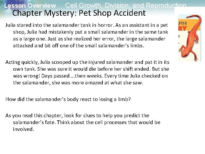 Lesson Overview Cell Growth, Division, and Reproduction Chapter Mystery: Pet Shop Accident Julia stared