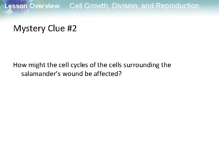 Lesson Overview Cell Growth, Division, and Reproduction Mystery Clue #2 How might the cell