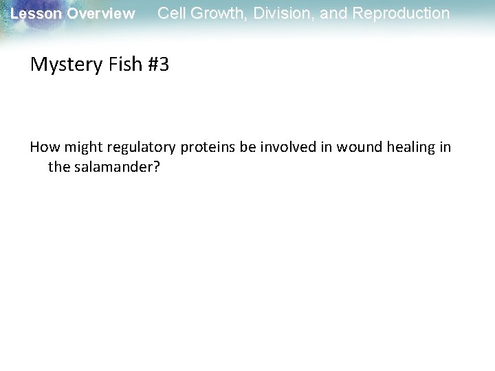 Lesson Overview Cell Growth, Division, and Reproduction Mystery Fish #3 How might regulatory proteins