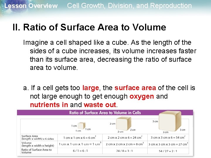 Lesson Overview Cell Growth, Division, and Reproduction II. Ratio of Surface Area to Volume