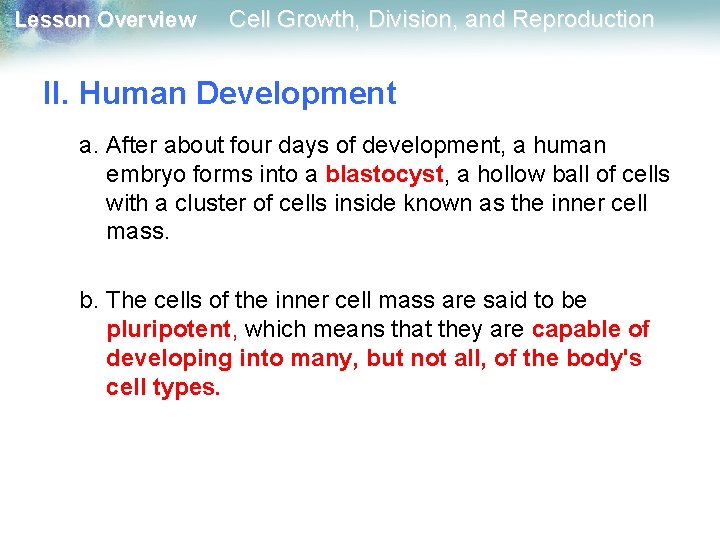 Lesson Overview Cell Growth, Division, and Reproduction II. Human Development a. After about four