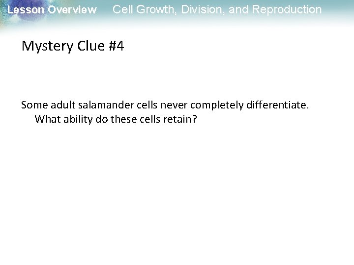 Lesson Overview Cell Growth, Division, and Reproduction Mystery Clue #4 Some adult salamander cells