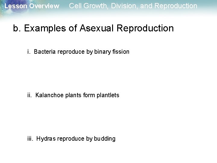 Lesson Overview Cell Growth, Division, and Reproduction b. Examples of Asexual Reproduction i. Bacteria