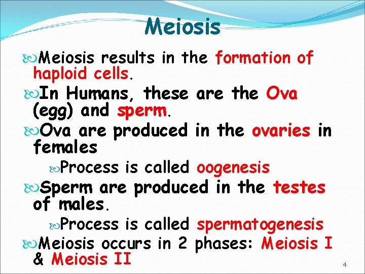 Meiosis results in the formation of haploid cells. In Humans, these are the Ova