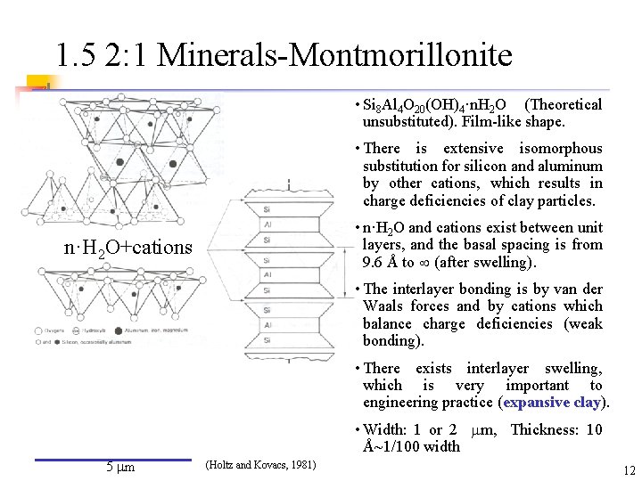 1. 5 2: 1 Minerals-Montmorillonite • Si 8 Al 4 O 20(OH)4·n. H 2