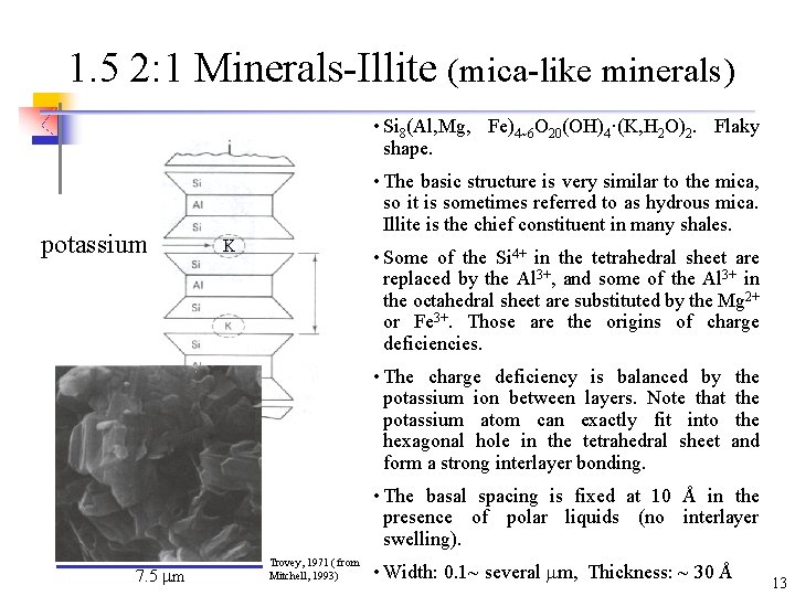 1. 5 2: 1 Minerals-Illite (mica-like minerals) • Si 8(Al, Mg, Fe)4~6 O 20(OH)4·(K,