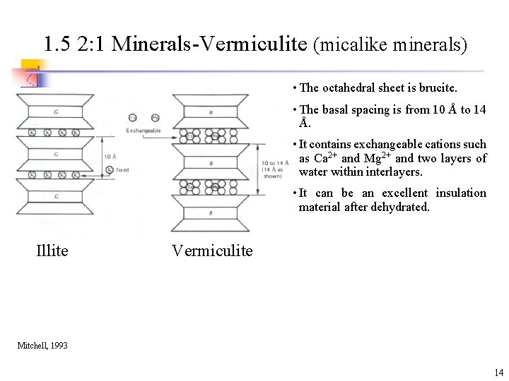 1. 5 2: 1 Minerals-Vermiculite (micalike minerals) • The octahedral sheet is brucite. •