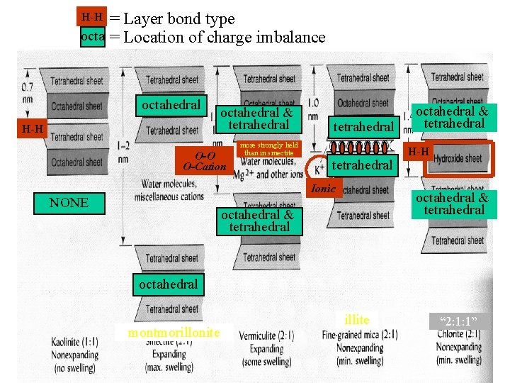 = Layer bond type octa = Location of charge imbalance H-H octahedral & tetrahedral