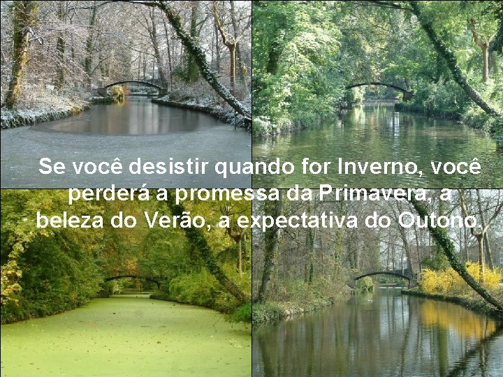 Se você desistir quando for Inverno, você perderá a promessa da Primavera, a beleza