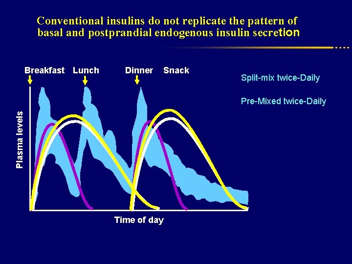 Conventional insulins do not replicate the pattern of basal and postprandial endogenous insulin secretion