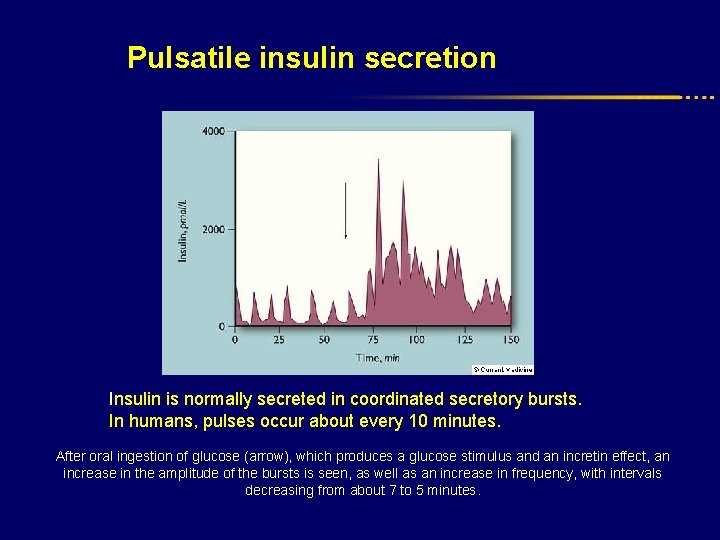 Pulsatile insulin secretion Insulin is normally secreted in coordinated secretory bursts. In humans, pulses