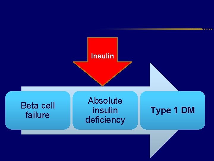 Insulin Beta cell failure Absolute insulin deficiency Type 1 DM 