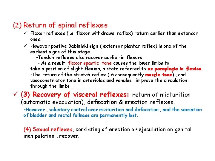 (2) Return of spinal reflexes ü Flexor reflexes (i. e. flexor withdrawal reflex) return