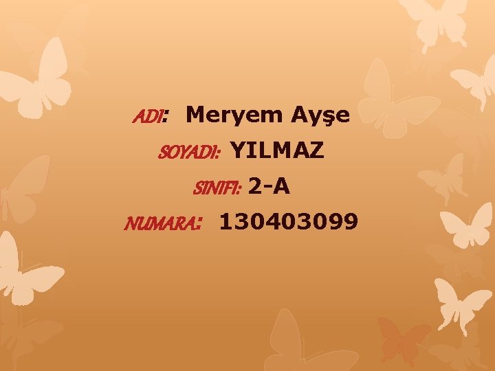 ADI: Meryem Ayşe SOYADI: YILMAZ SINIFI: 2 -A NUMARA: 130403099 