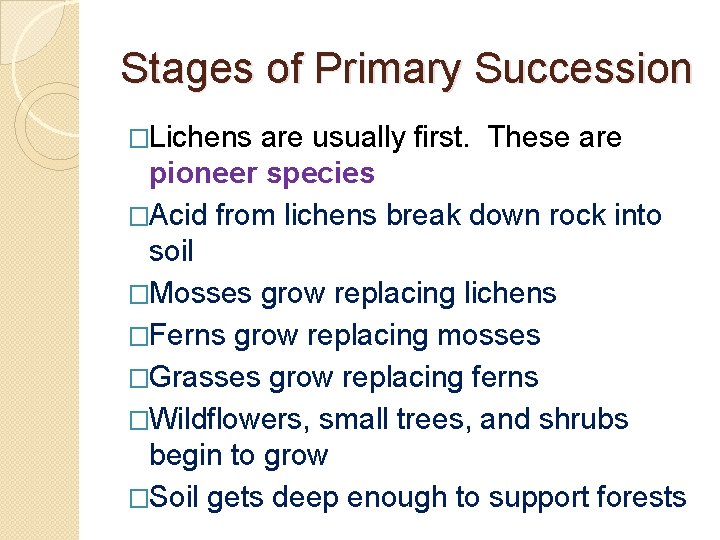 Stages of Primary Succession �Lichens are usually first. These are pioneer species �Acid from