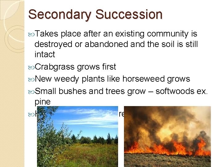 Secondary Succession Takes place after an existing community is destroyed or abandoned and the