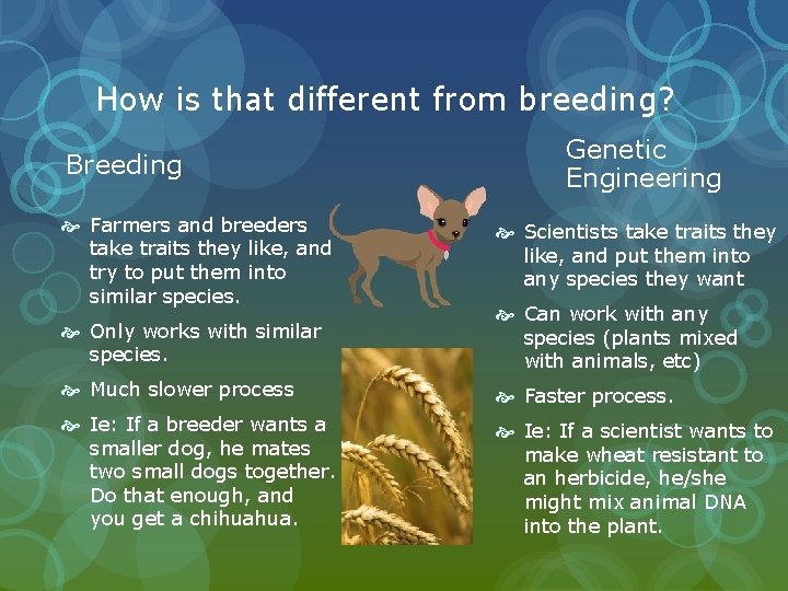 How is that different from breeding? Breeding Farmers and breeders take traits they like,