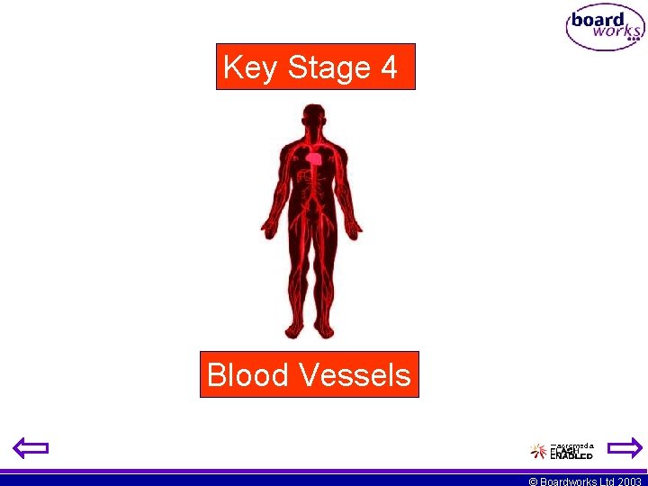 Key Stage 4 Blood Vessels © Boardworks Ltd 2003 