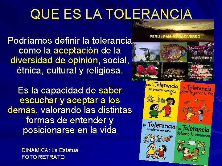 QUE ES LA TOLERANCIA Podríamos definir la tolerancia como la aceptación de la diversidad QUE ES LA TOLERANCIA Podríamos definir la tolerancia como la aceptación de la diversidad
